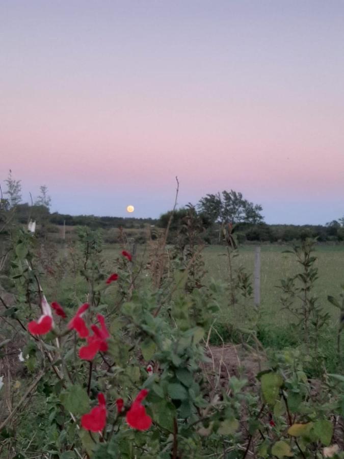 Tierra De Inmigrantes Villa บาราเดโร ภายนอก รูปภาพ