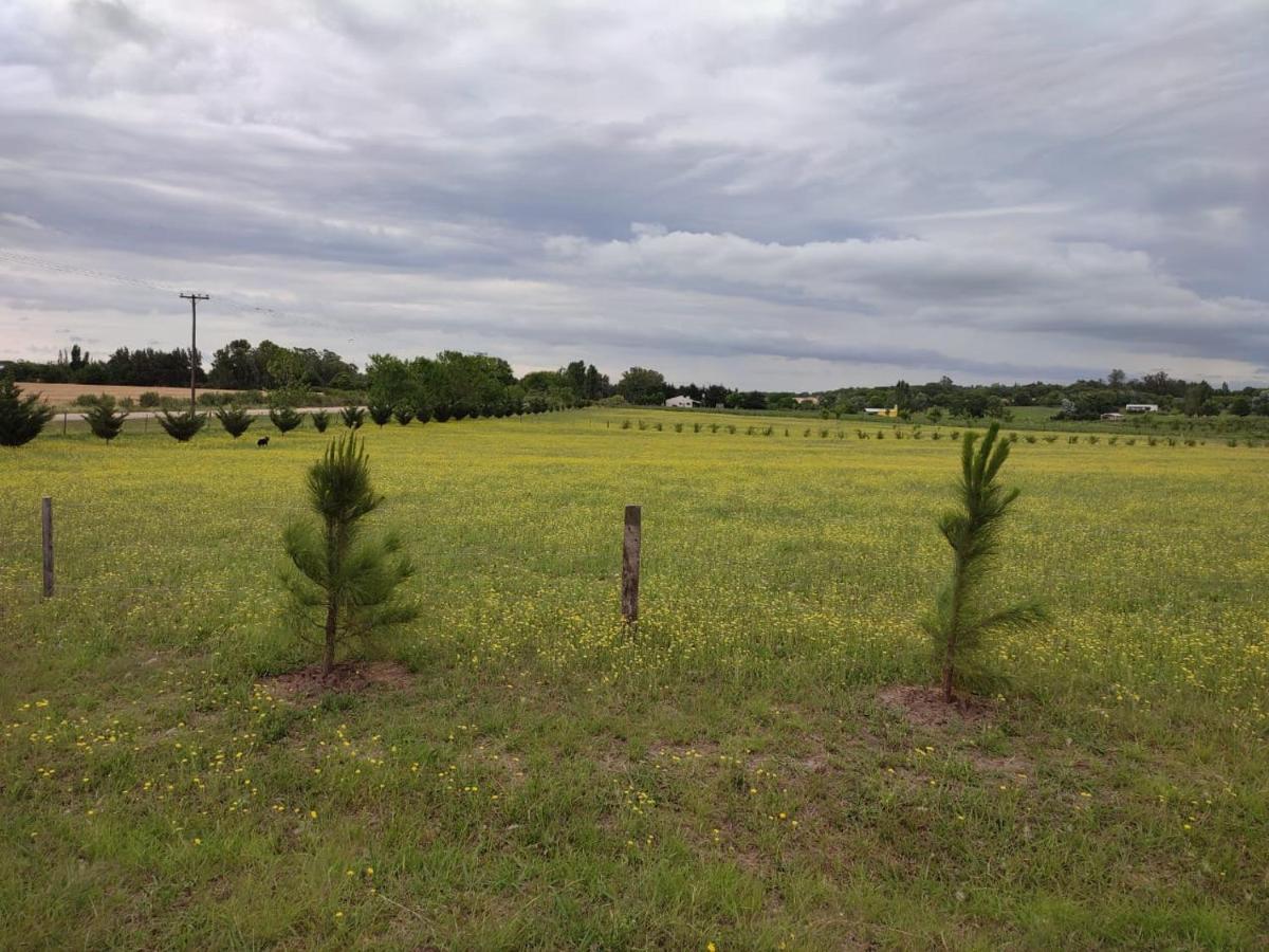 Tierra De Inmigrantes Villa บาราเดโร ภายนอก รูปภาพ