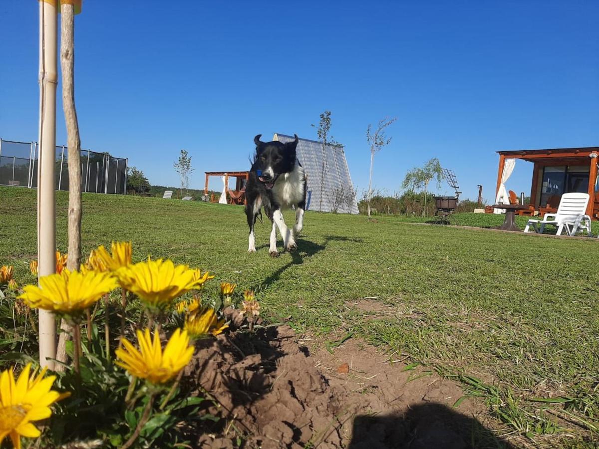 Tierra De Inmigrantes Villa บาราเดโร ภายนอก รูปภาพ