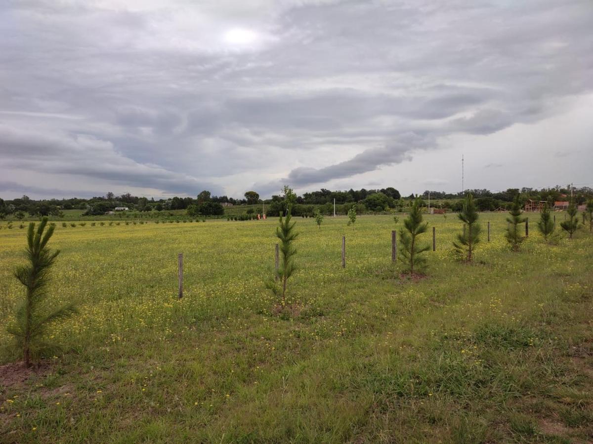 Tierra De Inmigrantes Villa บาราเดโร ภายนอก รูปภาพ
